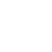 icons-path-lite-light.png